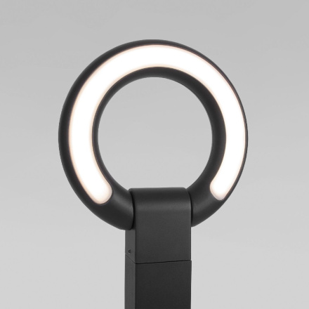 Ландшафтный светильник Elektrostandard Navi 35164/F черный 4690389194177 a062880