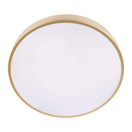 Потолочный светильник Loft IT Flims 10228/A