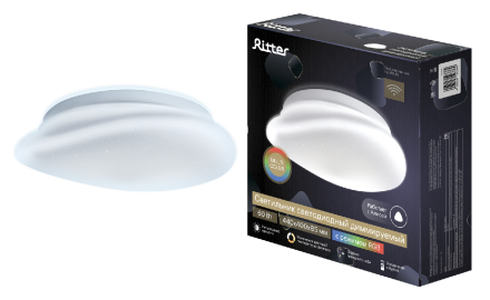 Потолочный светильник Ritter Stone 52336 9