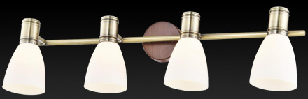 Спот Toplight Sharyl TL3720Y-04BB