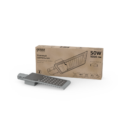 Уличный консольный светильник Gauss Avenue 629534250