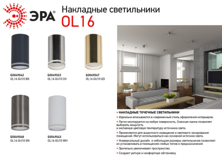 Накладной светильник ЭРА OL16 GU10 SN Б0049048