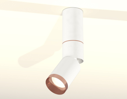 Спот Ambrella Light Techno Spot XM6312145 (C6322, A2063, A2220, C6312, N6135)