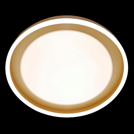 Потолочная люстра Natali Kovaltseva LED LAMPS 81301