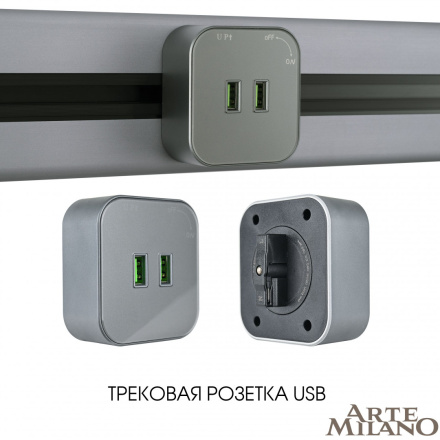 Трековая розетка Arte Milano Am-track-sockets 380022TS/USBx2 Grey