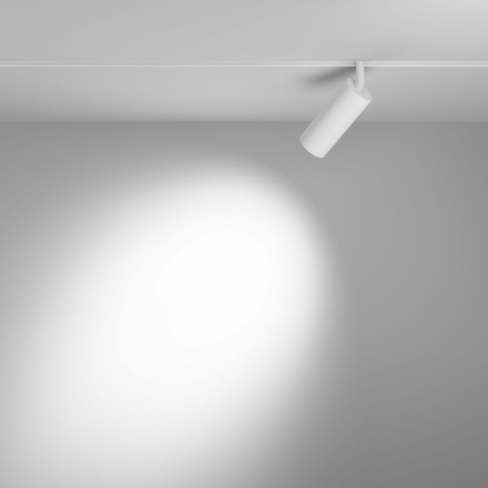 Трековый магнитный светильник Maytoni Focus LED TR032-4-12WTW-M-DSZ-W