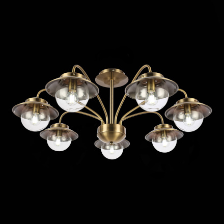 Потолочный светильник EVOLUCE GARONNI SLE110102-07