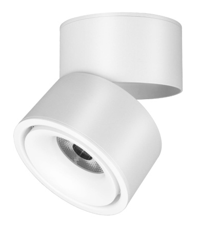 Спот Maytoni Technical Yin C084CL-15W3K-D-W