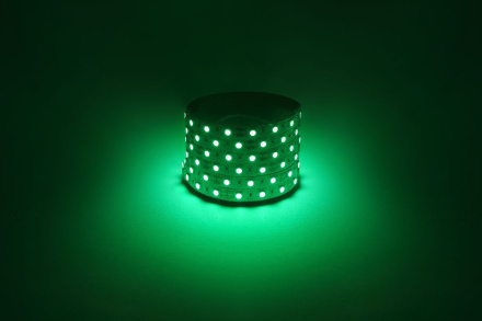 Светодиодная лента Эра 12В 5050 14,4Вт/м зеленый 5м IP20 LS5050-14,4-60-12-G-IP20-1 year-5m Б0059920