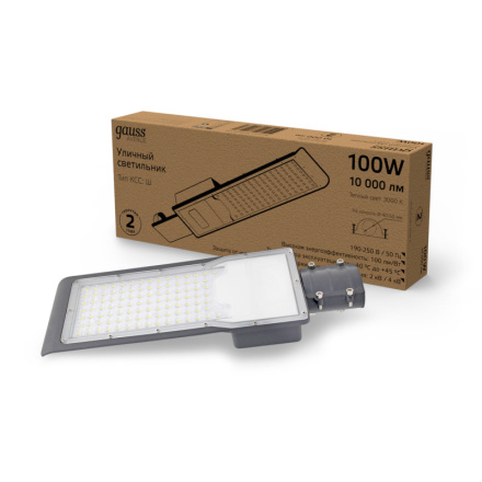 Уличный консольный светильник Gauss Avenue 629534100
