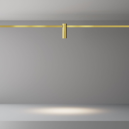 Трековый магнитный светильник Maytoni Focus Led TR143-1-5W4K-W-BS