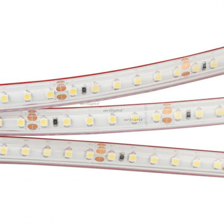 Светодиодная лента Arlight RTW 2-5000PS 24V White6000 2x (3528, 600 LED, LUX) 022321