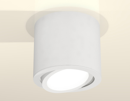 Накладной поворотный светильник Ambrella Light Techno XS7401001 (C7401, N7001)