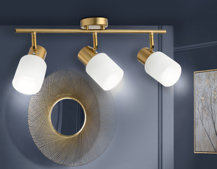 Спот Ambrella Light Traditional TR3972