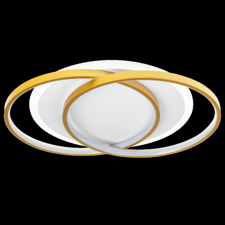 Потолочная люстра Ritter Snello 51624 2