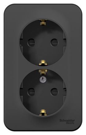 Розетка 2-ая с/з со шторками 16А,250В, изолир. пластина Systeme Electric Blanca наруж Антрацит BLNRA011216