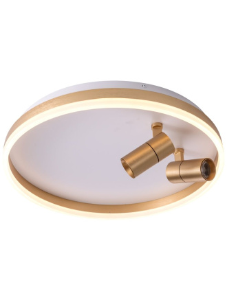 Потолочный светильник Zortes Raizy ZRS.1888.02