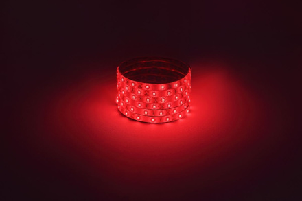 Светодиодная лента Эра 12В 2835 4,8Вт/м красный 5м IP65 LS2835-4,8-60-12-R-IP65-1 year-5m Б0059899
