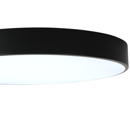 Потолочный светильник Zortes Tortty ZRS.02563.96