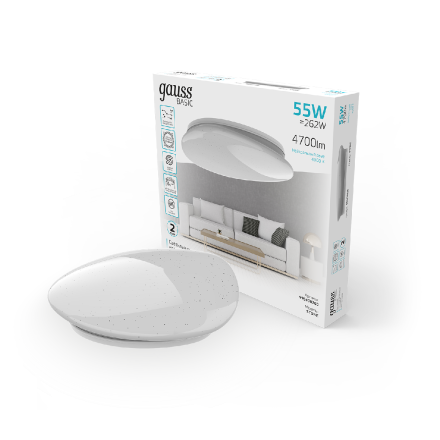 Настенно-потолочный светильник Gauss Basic Space Stone 995438260