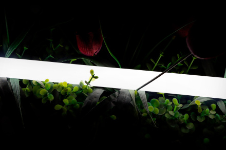 Светодиодная лента SWG 2835 360 LED/м 16 Вт/м 24В 4000K IP66 013283