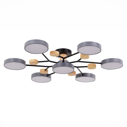 Люстра на штанге Evoluce Faema SLE6006-702-07