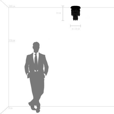 Потолочный светильник Lightstar Limpio 722063