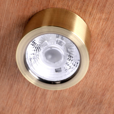 Накладной светильник Favourite Deorsum 2806-1U