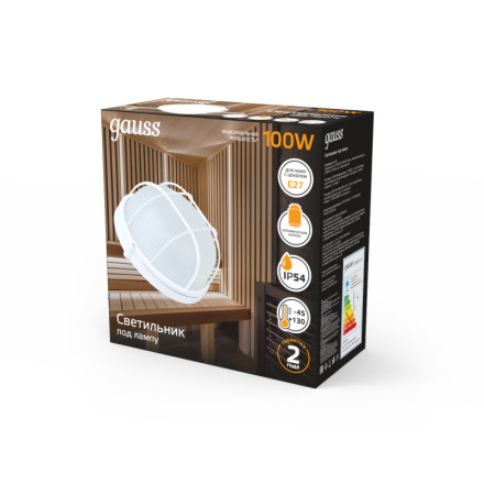 Настенно-потолочный светильник Gauss НБП 926602111