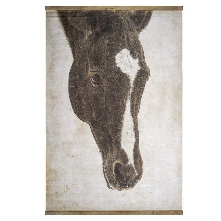 Постер Френкель Covali BR-5184