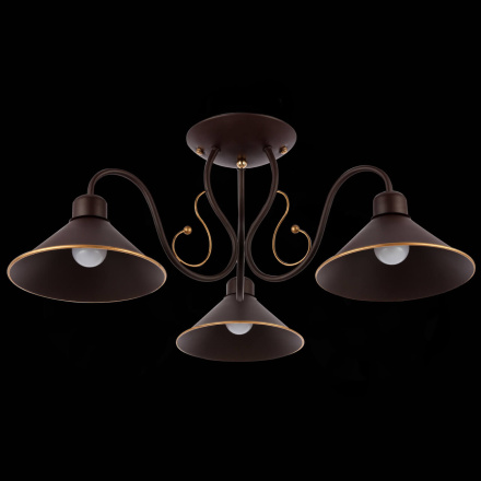 Потолочный светильник EVOLUCE CIOLLA SLE120402-03