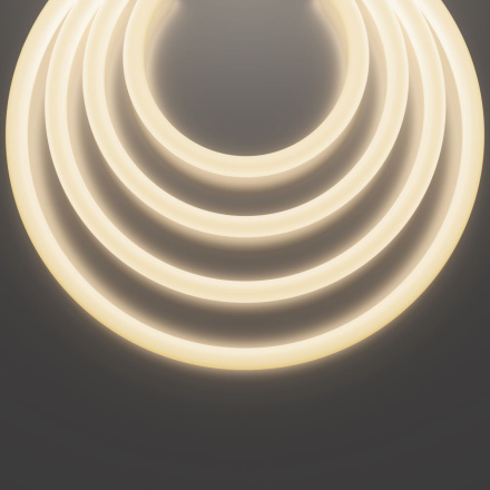 Гибкий неон Maytoni Led Strip Nemo D25 48В 12,5Вт/м 3000К IP65 20м