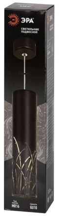 Подвесной светильник Эра PL25 BK Б0061364