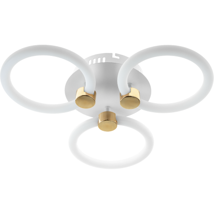 Потолочная люстра Ritter Ottimo 51611 2