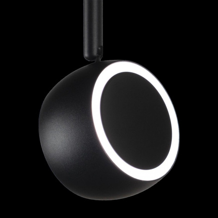 Трековый светильник Loft IT Tech T034-10