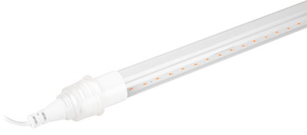 Линейный светильник для растений Эра FITO-9W-Rb-Т8+holderG13 Б0069515