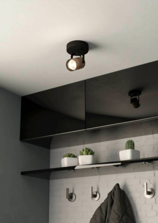 Спот Eglo Cayuca 900436