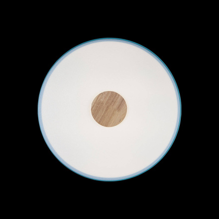 Потолочный светильник Loft IT AXEL 10003/24 Blue