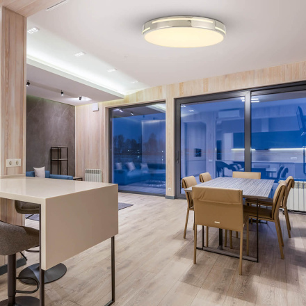 Потолочный светильник F-Promo Pall 2744-2C