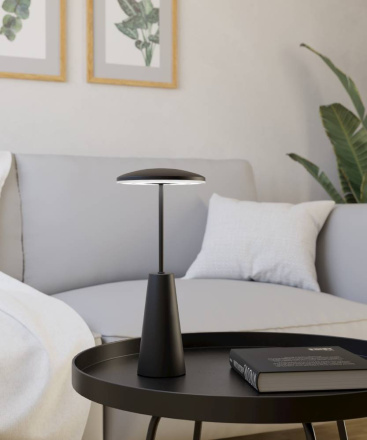 Уличная настольная лампа Eglo Piccola 900925