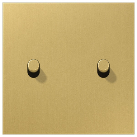 Центральная плата, 1 пост, 2 тумблера,цилиндр металлическое исполнение латунь классик серия LS Jung ME12-5CR25