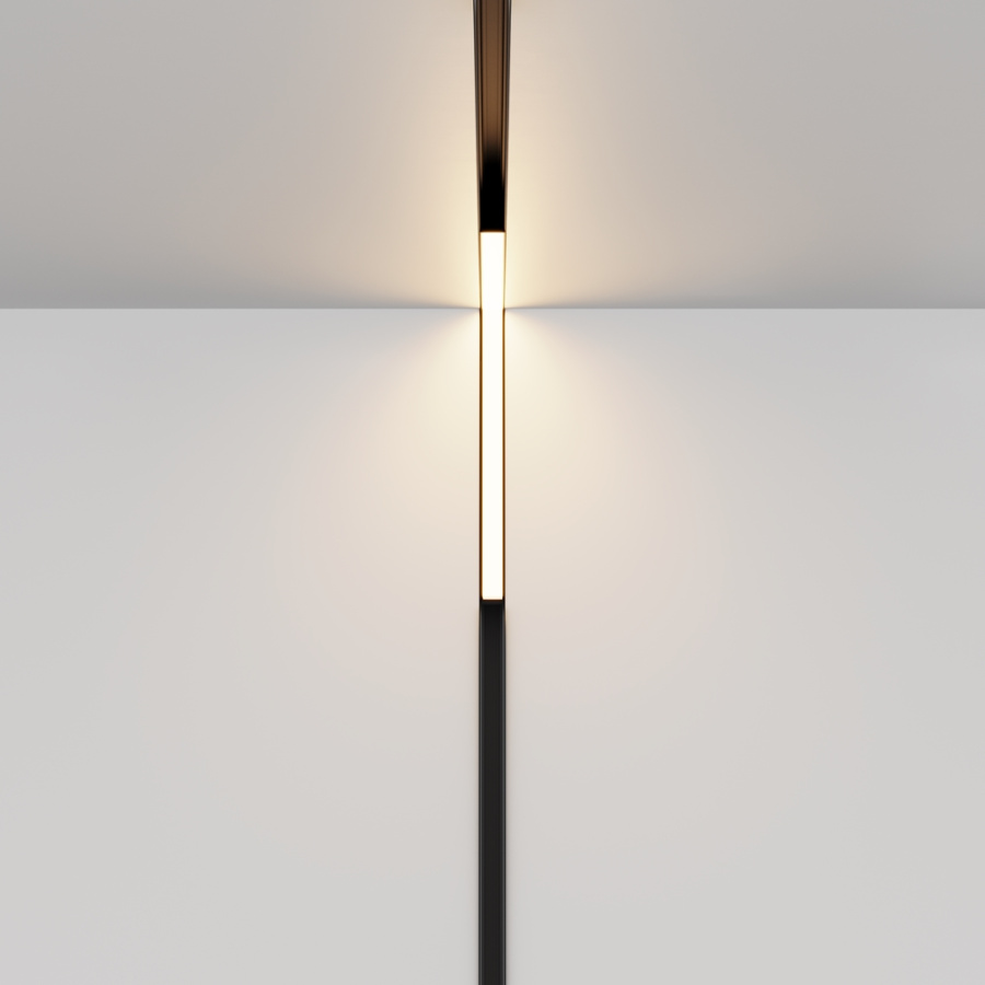 Трековый магнитный светильник Maytoni Technical Magnetic track system Exility Basis TR102-24W-DS-B