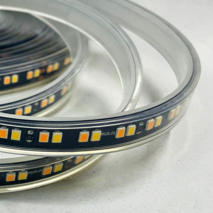 Светодиодная лента Favourite 24В SMD2835 19,8Вт/м 6500K 5м IP65 2001-62065