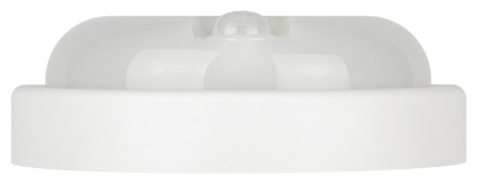 Настенно-потолочный светильник Эра SPB-201-3-65K-012 Б0062557