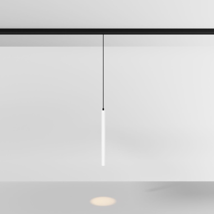 Трековый магнитный светильник Maytoni Focus LED TR226-4-5WTW-M-DSZ-W