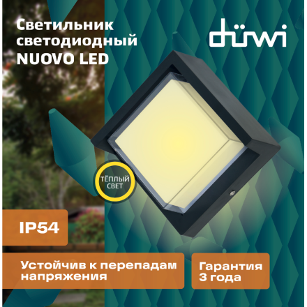 Уличный настенный светильник Duwi Nuovo LED 24782 5