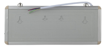 Аварийный светильник Эра SSA-101-1-20 Б0044388