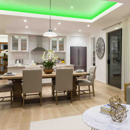 Светодиодная лента Apeyron 12В СТ 4,8Вт/м smd3528, 60д/м IP20 5м зеленая 00-34