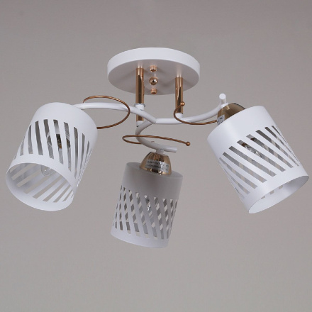 Потолочная люстра Reluce 08235-0.3-03 WT+FG