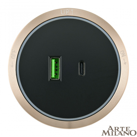Трековая розетка Arte Milano Am-track-sockets 380066TS LED/USB-Type-C Gold